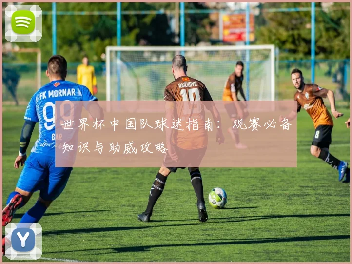 世界杯中国队球迷指南：观赛必备知识与助威攻略