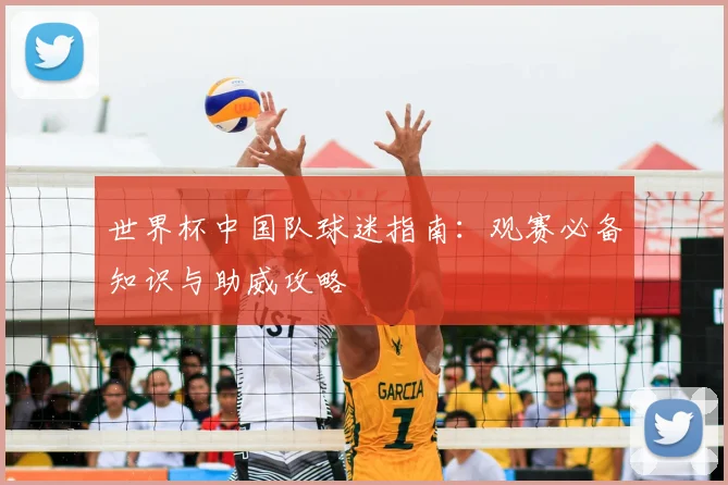 世界杯中国队球迷指南：观赛必备知识与助威攻略